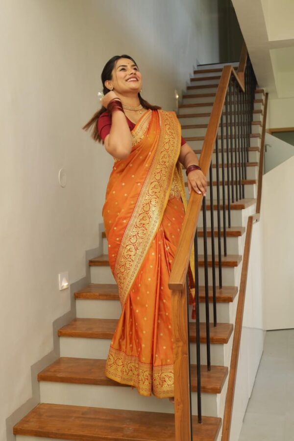 Kanjeevaram Paithani Saree – Premium Soft Silk Elegance - Image 20